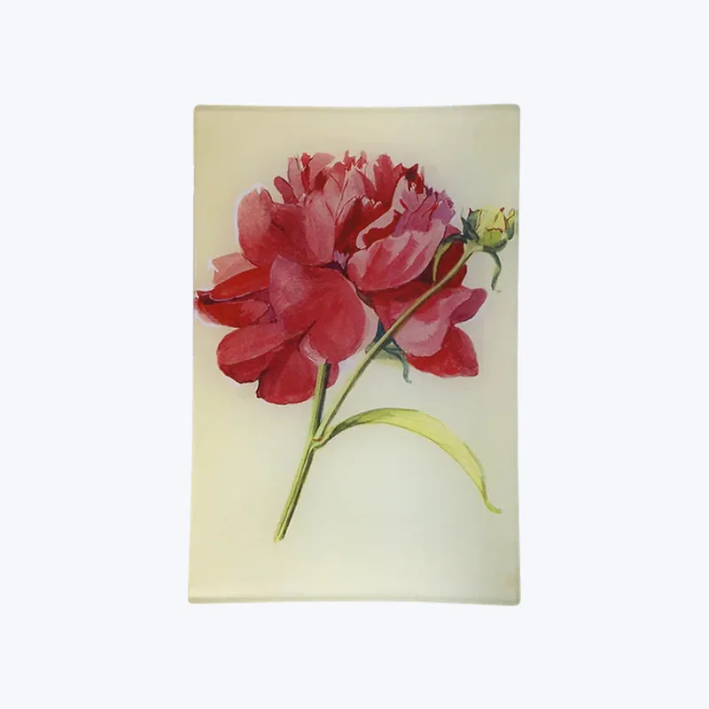 No Minimum Order Peony 3 Tray
