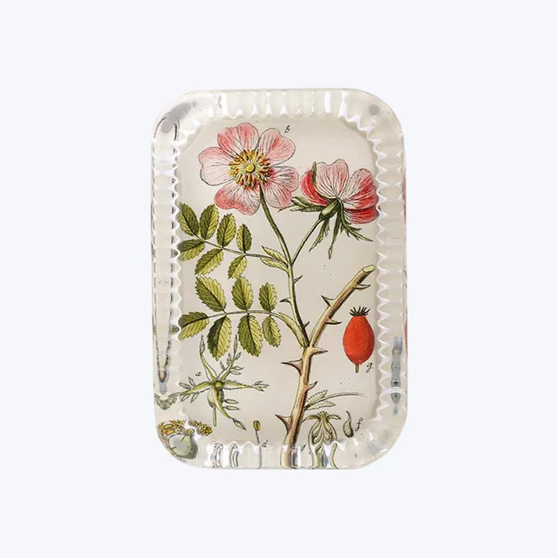 Rosa Canina Paperweight Genuine