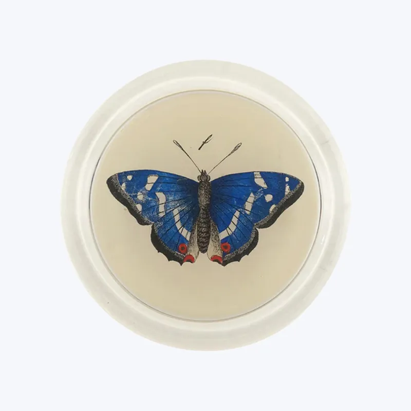 Deep Blue Butterfly Coaster Flash Sale