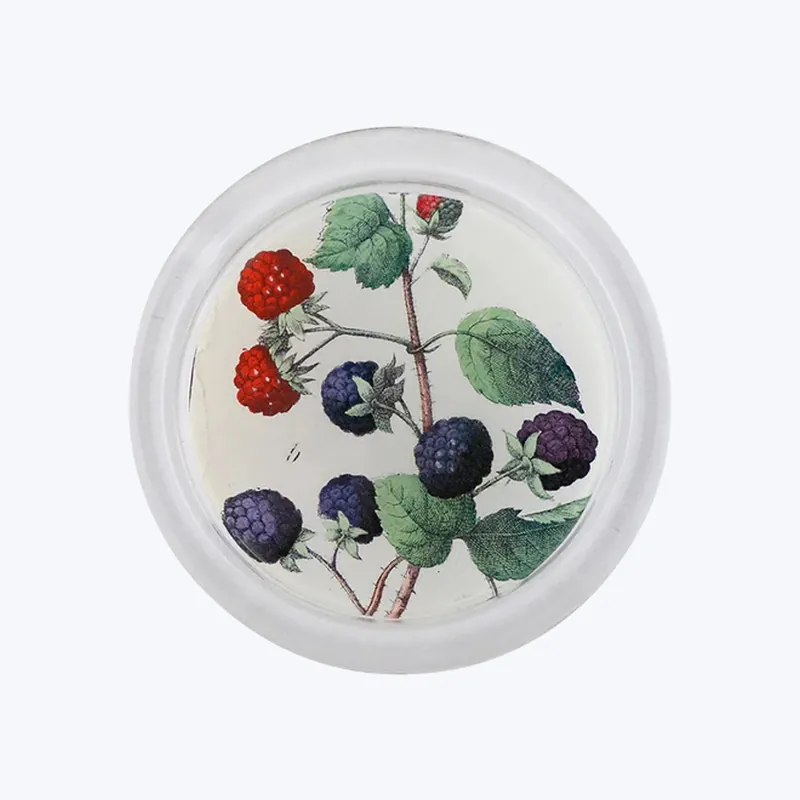 Special Offer Mixed Berries Coaster
