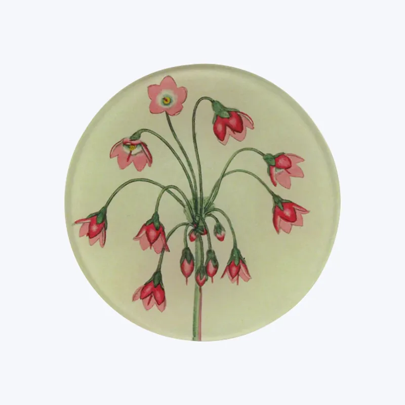 Must Have Cortusa Matthioli Round Plate