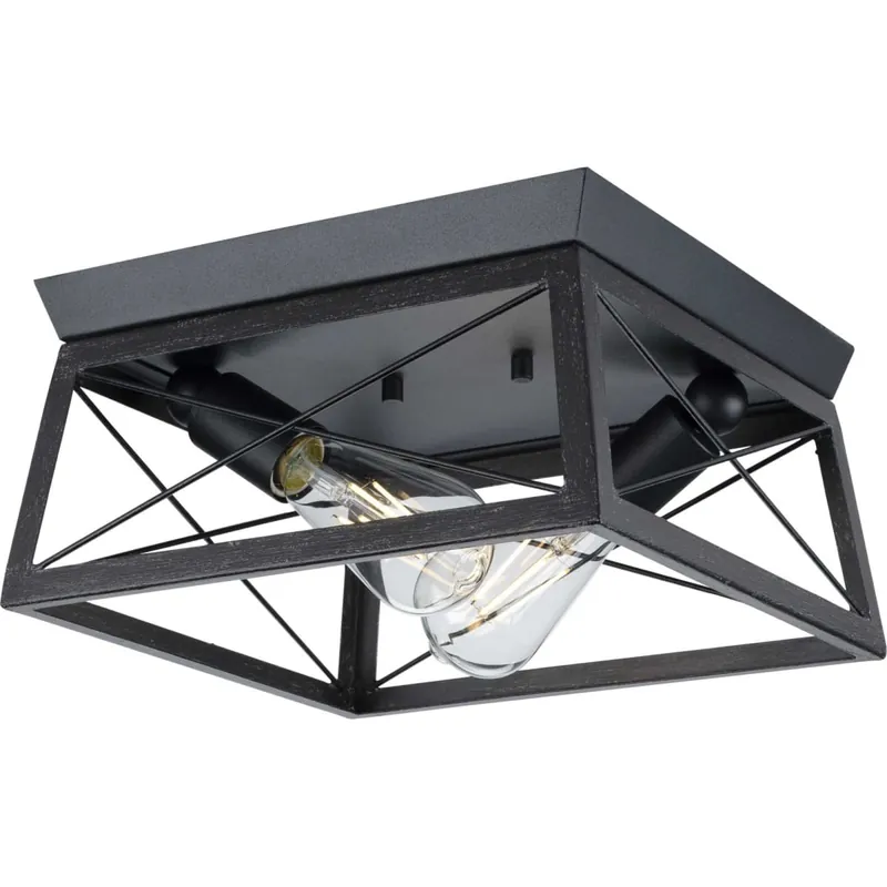 Progress Lighting Briarwood 2 Light 12" Wide Flush Mount Ceiling Fixture One Day Deal