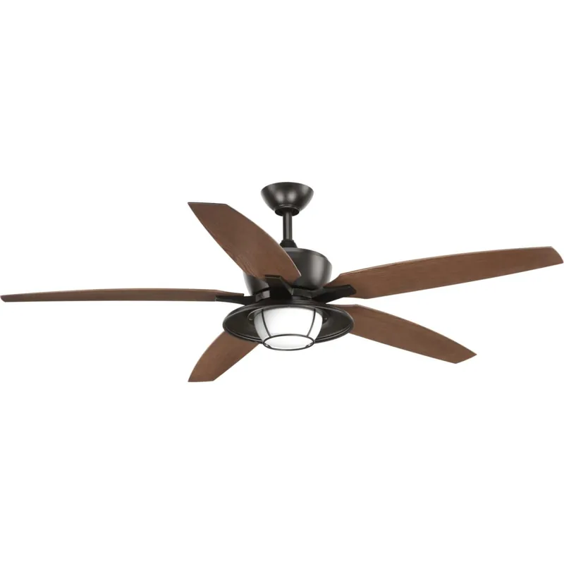 Progress Lighting Montague 60" 5 Blade Indoor / Outdoor Ceiling Fan with Integrated LED Light Kit and Remote Control Popular