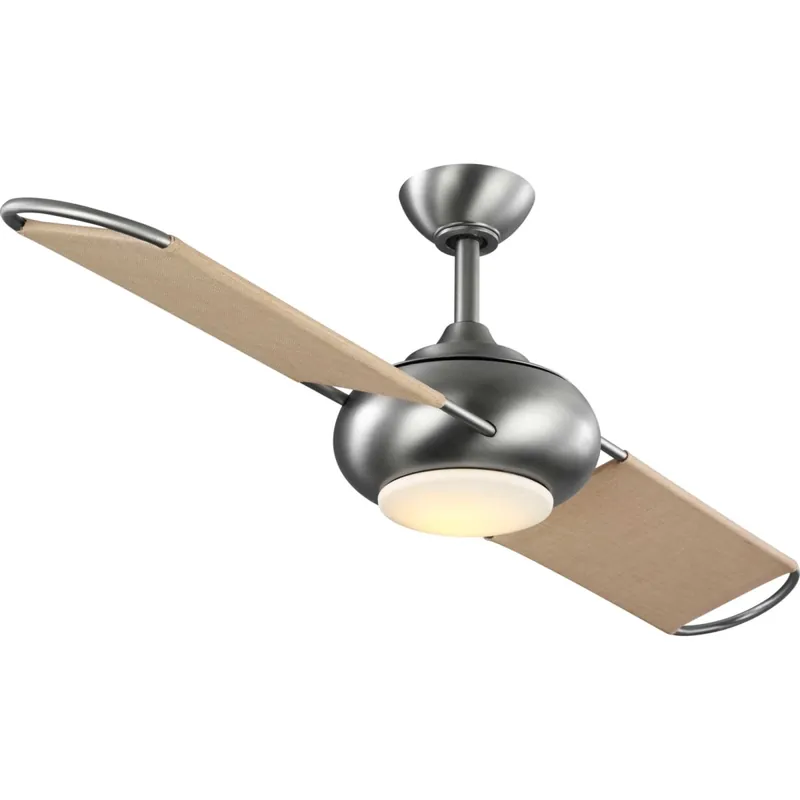 Trending Progress Lighting Edisto 54" 2 Blade Indoor / Outdoor Ceiling Fan - Remote Control and LED Light Kit Included
