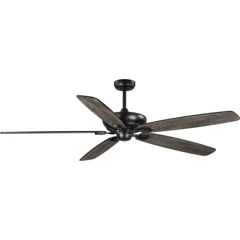 Money Back Guarantee Progress Lighting Kennedale 72" 5 Blade Indoor / Outdoor Ceiling Fan with Remote Control